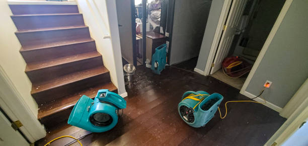 Best Ceiling water damage repair  in La Croft, OH