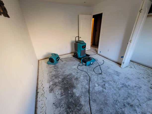 Best Flood damage cleanup  in La Croft, OH