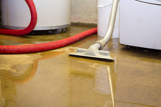 Best Water damage restoration near me  in La Croft, OH